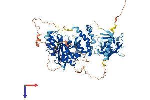 GALNT14 Protein (AA 1-638) (His tag)