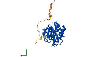 Protein Structure (PS) image for Dual Specificity Phosphatase 14 (DUSP14) (AA 1-198) protein (His tag) (ABIN7561686)