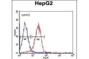 ITA6 Monoclonal Antibody (ABIN658988 and ABIN2838034) flow cytometric analysis of HepG2 cells (right histogram) compared to a negative control cell (left histogram). (ITGA6 Antikörper)