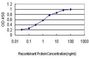 Detection limit for recombinant GST tagged MARK2 is approximately 0. (MARK2 Antikörper  (AA 401-500))