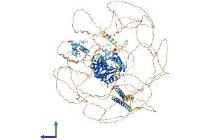 AlphaFold protein structure predicition of Mouse Recombinant Kif24 Protein, UniprotID Q6NWW5
