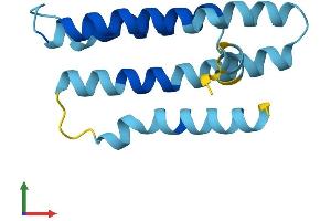 AlphaFold protein structure predicition of Human Recombinant TMEM203 Protein, UniprotID Q969S6 (TMEM203 Protein (AA 1-136) (His tag))