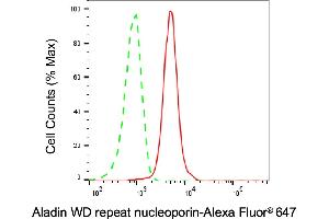 Flow cytometric analysis of Aladin WD repeat nucleoporin expression in HAP-1 cells using Aladin WD repeat nucleoporin antibody (ABIN7797447), 1:1,000).