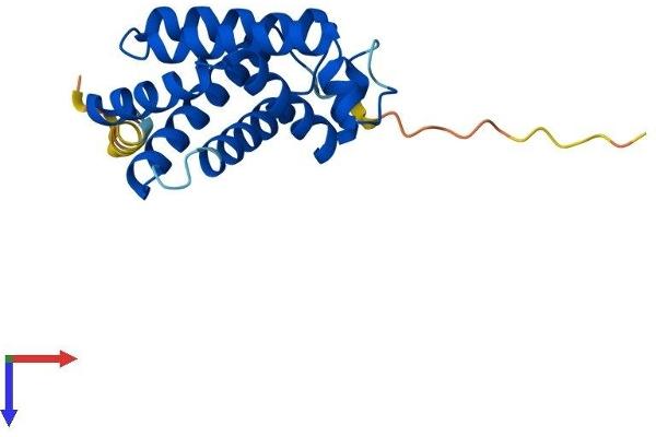 CYGB Protein (AA 1-190) (His tag)