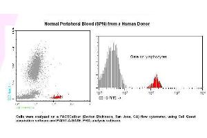 Image no. 1 for anti-CD19 Molecule (CD19) antibody (FITC) (ABIN1112075) (CD19 Antikörper  (FITC))