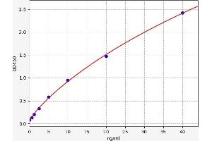 Synaptophysin (SYP) ELISA Kit