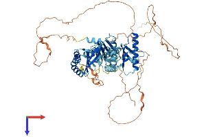 HPS4 Protein (AA 1-671) (His tag)