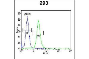 Flow cytometric analysis of 293 cells (right histogram) compared to a negative control cell (left histogram). (LMBR1L Antikörper  (C-Term))