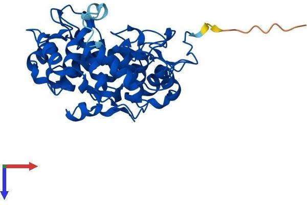 RABGGTB Protein (AA 1-339) (His tag)