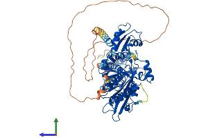 Protein Structure (PS) image for Poly A Specific Ribonuclease (PARN) (AA 1-639) protein (His tag) (ABIN7554912)