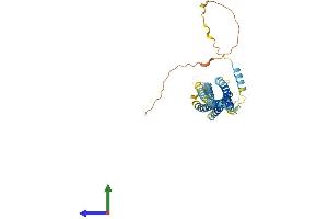 AlphaFold protein structure predicition of Human Recombinant STX5 Protein, UniprotID Q13190 (Syntaxin 5 Protein (STX5) (AA 1-355) (His tag))