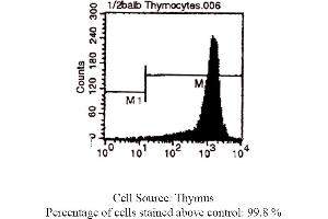 Mouse anti CD90 (Thy-1. (CD90 Antikörper)