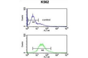 Flow Cytometry (FACS) image for anti-Ribosomal Protein S15a (RA) antibody (ABIN3002138) (RPS15A Antikörper)