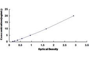 Typical standard curve (NPEPPS ELISA Kit)