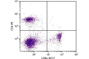 C57BL/6 mouse splenocytes were stained with Rat Anti-Mouse CD8α-BIOT. (CD8 alpha Antikörper  (Biotin))