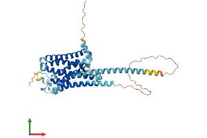 HRH4 Protein (AA 1-391) (His tag)