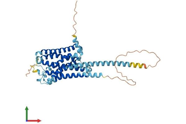 HRH4 Protein (AA 1-391) (His tag)