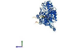Protein Structure (PS) image for Dihydropyrimidinase (DPYS) (AA 1-519) protein (His tag) (ABIN7547175)