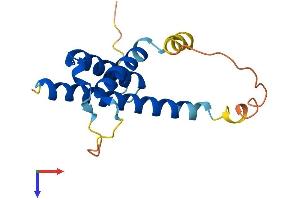 THRSP Protein (AA 1-150) (His tag)