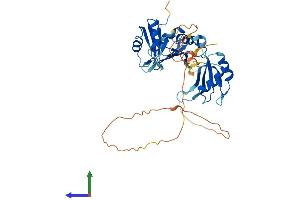 Protein Structure (PS) image for TIA1 Cytotoxic Granule-Associated RNA Binding Protein (TIA1) (AA 1-386) protein (His tag) (ABIN7563424)