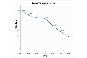 Antigen: 0. (ARTN Antikörper  (AA 101-170))