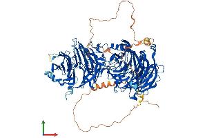 Protein Structure (PS) image for Lethal Giant Larvae Homolog 2 (LLGL2) (AA 1-1027) protein (His tag) (ABIN7563668)