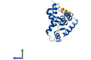 Protein Structure (PS) image for Myosin, Light Chain 5, Regulatory (MYL5) (AA 1-173) protein (His tag) (ABIN7549680)