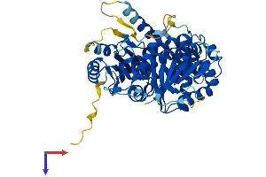 TUBE1 Protein (AA 1-475) (His tag)