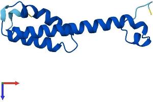 PEN2 Protein (AA 1-101) (His tag)