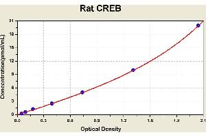 Diagramm of the ELISA kit to detect Rat CREBwith the optical density on the x-axis and the concentration on the y-axis. (CREB1 ELISA Kit)