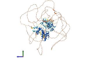 Protein Structure (PS) image for Regulator of G-Protein Signaling 3 (RGS3) (AA 1-966) protein (His tag) (ABIN7565013)