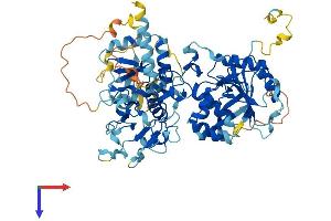 EXTL1 Protein (AA 1-669) (His tag)