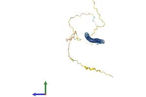 AlphaFold protein structure predicition of Human Recombinant BLOC1S3 Protein, UniprotID Q6QNY0