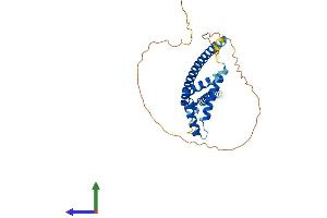 Protein Structure (PS) image for MAX-Like Protein X (MLX) (AA 1-298) protein (His tag) (ABIN7562180)