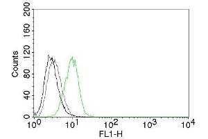 Flow Cytometry of human p27 on HeLa cells. (CDKN1B Antikörper)