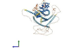 AlphaFold protein structure predicition of Mouse Recombinant Ppfia3 Protein, UniprotID P60469