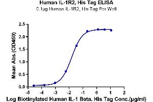 Immobilized Human IL-1R2, His Tag at 1 μg/mL (100 μL/Well) on the plate.