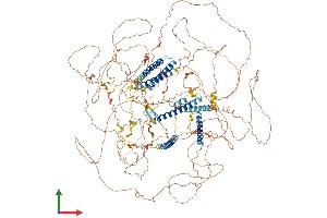 Protein Structure (PS) image for AT-Hook Transcription Factor (AKNA) (AA 1-1439) protein (His tag) (ABIN7552138)