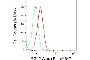 Flow cytometric analysis of RGL2 expression in HepG2 cells using RGL2 antibody (ABIN7800125), 1:2,000). (RGL2 Antikörper)