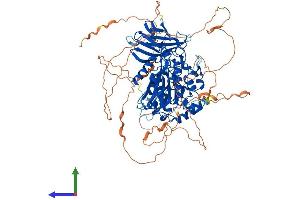 Protein Structure (PS) image for ATP/GTP Binding Protein-Like 5 (AGBL5) (AA 1-886) protein (His tag) (ABIN7552971)
