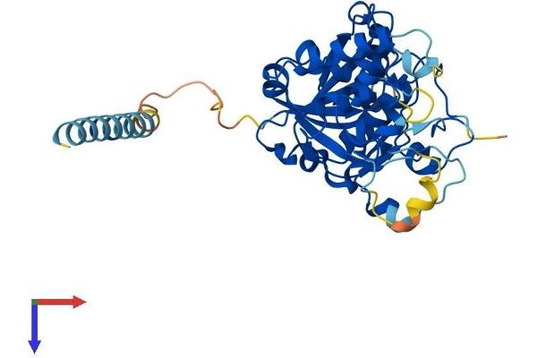 GLT8D2 Protein (AA 1-349) (His tag)