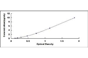 Typical standard curve (COL14A1 ELISA Kit)