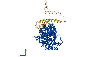 Protein Structure (PS) image for Squalene Epoxidase (SQLE) (AA 1-572) protein (His tag) (ABIN7563412)
