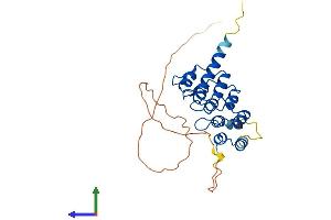 Protein Structure (PS) image for Regulatory Factor X-Associated Ankyrin Containing Protein (RFXANK) (AA 1-269) protein (His tag) (ABIN7556400)