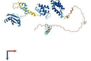 PNMA3 Protein (AA 1-463) (His tag)