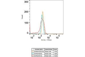 Flow cytometry: Raji cells were stained with Rabbit IgG isotype control (, 2. (CD3G Antikörper)