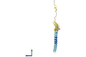 Protein Structure (PS) image for Interferon Induced Transmembrane Protein 5 (IFITM5) (AA 1-134) protein (His tag) (ABIN7562658)