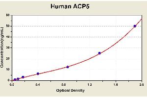 Diagramm of the ELISA kit to detect Human ACP5with the optical density on the x-axis and the concentration on the y-axis.