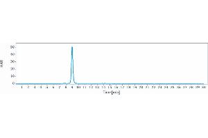 The purity of Anti-MIF Reference Antibody (imalumab) is more than 95 % , determined by SEC-HPLC. (Rekombinanter MIF (Imalumab Biosimilar) Antikörper)