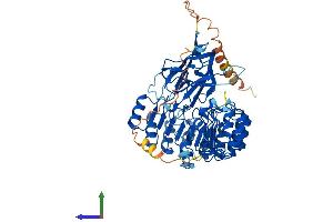 Protein Structure (PS) image for F-Box and Leucine-Rich Repeat Protein 4 (FBXL4) (AA 1-621) protein (His tag) (ABIN7558614)